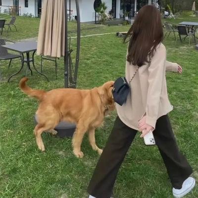 战鸭突击队